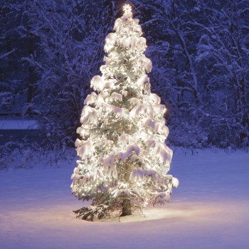 ȘIR LUMINOS CDC 100LED, 10m,ALB RECE, CABLU NEGRU ȘIR LUMINOS CDC 100LED, 10m,ALB RECE, CABLU NEGRU