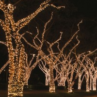 ȘIR LUMINOS CDC 100LED, 10m, ALB CALD, CABLU ALB, FLASH CALD