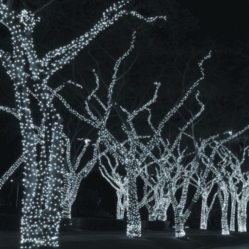 ȘiR LUMINOS CDC 50LED, 5m, ALB RECE, CABLU ALB, FLASH RECE ȘiR LUMINOS CDC 50LED, 5m, ALB RECE, CABLU ALB, FLASH RECE